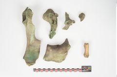 Foto von Bronzesitula (NHMW-PRAE-024489)